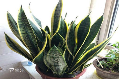 看动漫不要钱的软件又色又爽又高潮免费视频国产，解锁无限动漫世界的新秘钥